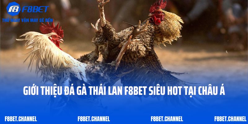 Đá Gà Thái Lan F8bet - Siêu Phẩm Thỏa Mãn Đam Mê Kê Thủ 2 Giới thiệu đá gà Thái Lan F8bet siêu hot tại châu Á