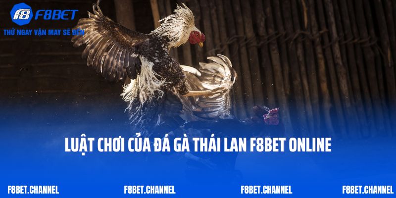 Đá Gà Thái Lan F8bet - Siêu Phẩm Thỏa Mãn Đam Mê Kê Thủ 3 Luật chơi của đá gà Thái Lan F8bet online