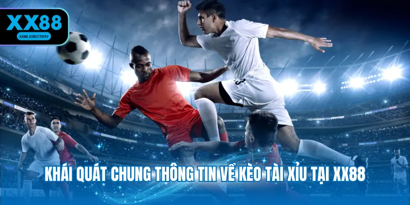 Cách Đọc Kèo Bóng Đá Tài Xỉu XX88 - Thông Tin Cần Nắm Vững 3 Hướng dẫn cách đọc kèo bóng đá 2 trái đơn giản
