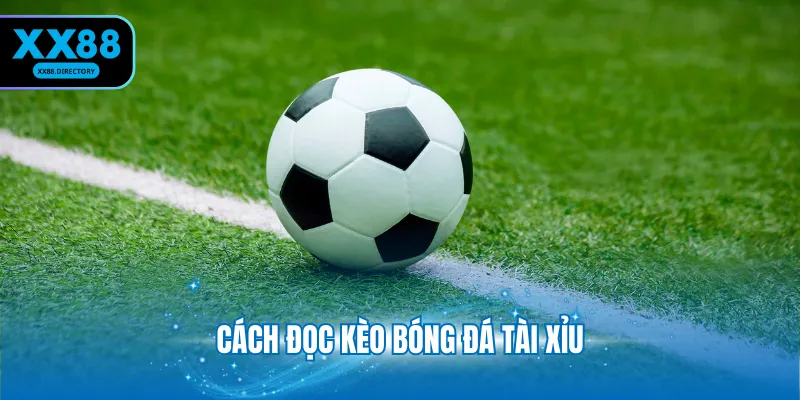 Cách Đọc Kèo Bóng Đá Tài Xỉu XX88 - Thông Tin Cần Nắm Vững 4 Lưu ý cần nắm khi đọc kèo chi tiết cho người mới